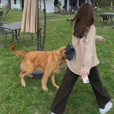 亲爱的朋友
